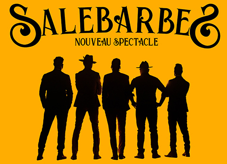 Salebarbes