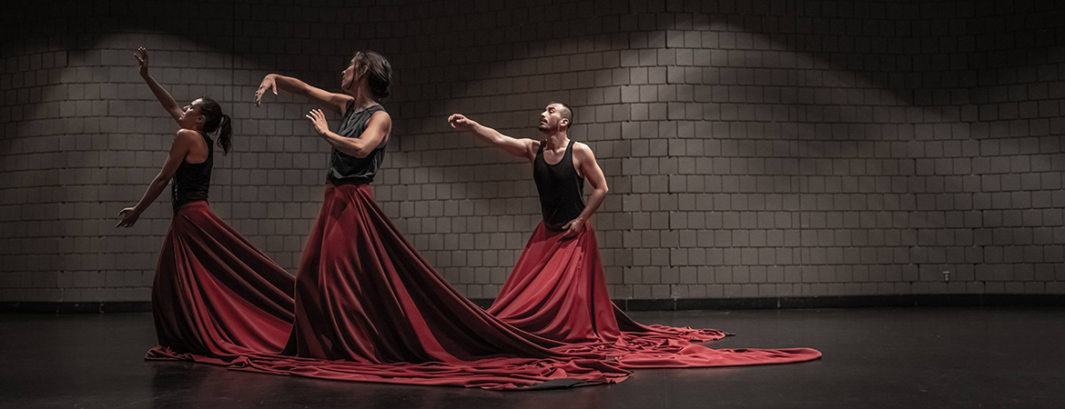 Danza - En-tête