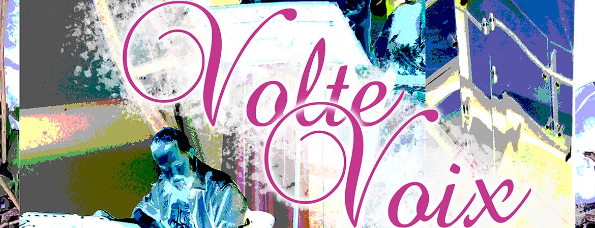 VolteVoix - En-tête