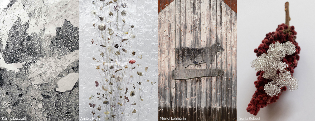 Friches - fiche - new