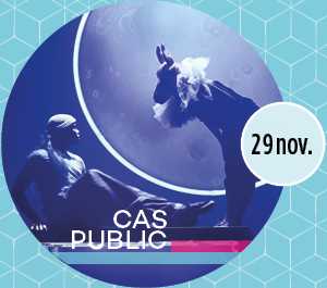 2- Cas public (2).png