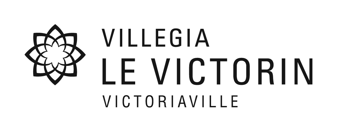 logovictorin_png